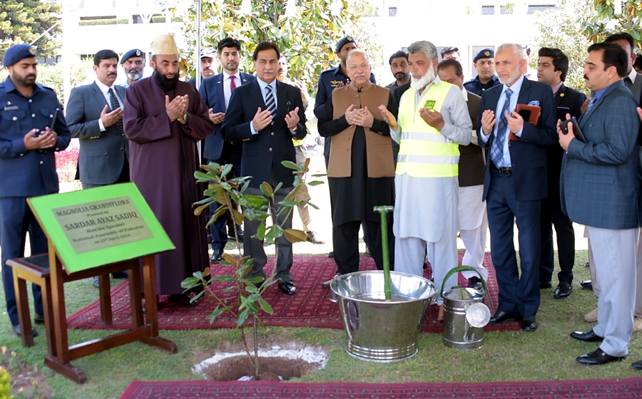 Islamabad 25.04.2024: Speaker NA Sardar Ayaz Sadiq offering prayer after planting a sapling of Magnolia Grandiflora in front of Parliament House