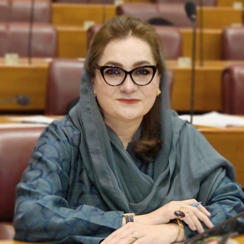 Mehnaz Akber Aziz
